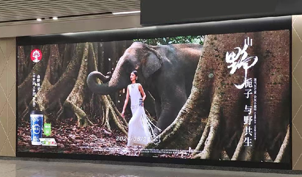 地铁动感灯箱广告